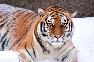 Miejski Ogród Zoologiczny w Łodzi