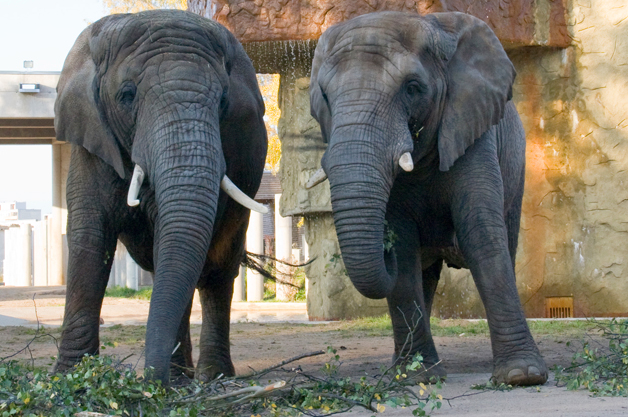 Tallinn Zoo