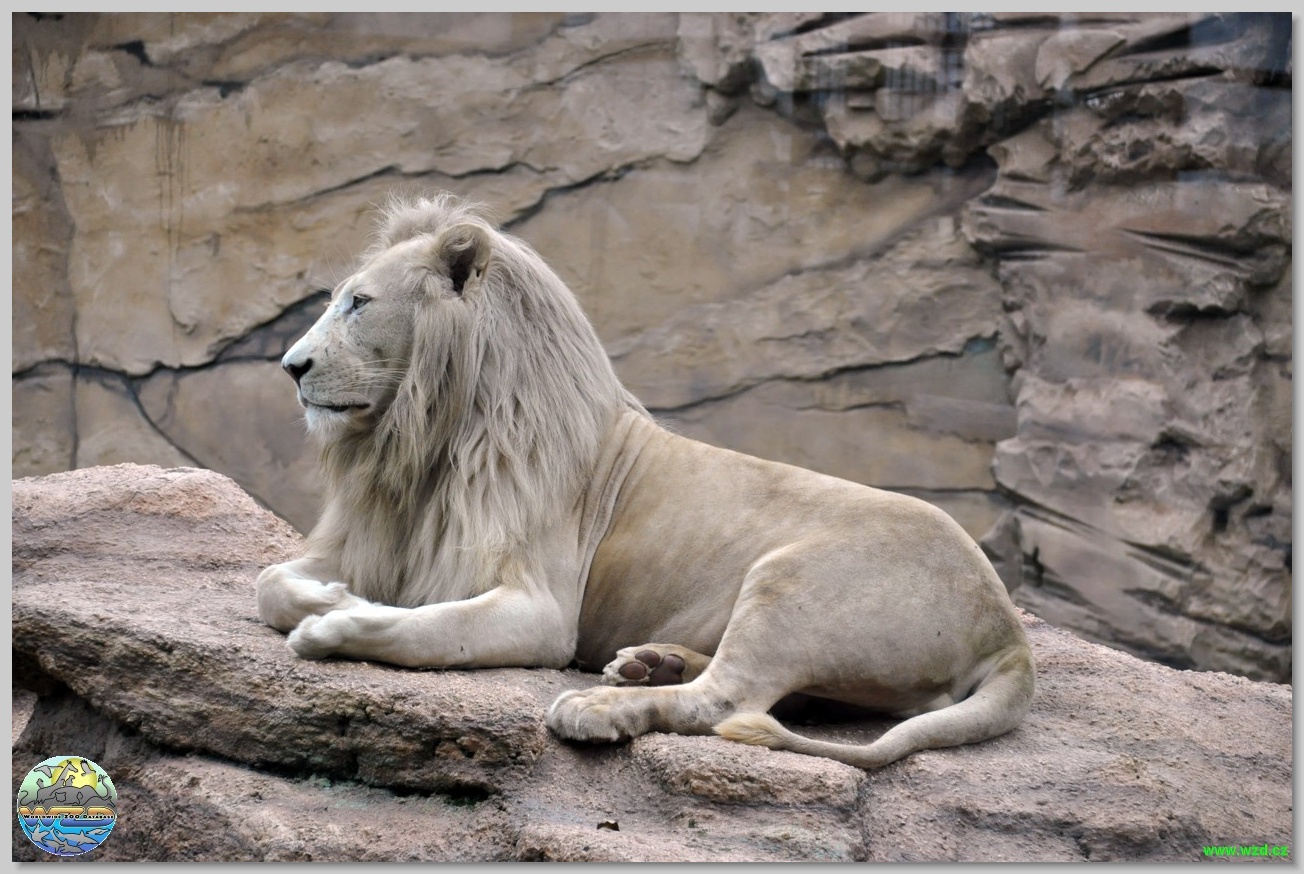 Győr Zoo